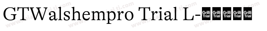 GTWalshempro Trial L字体转换